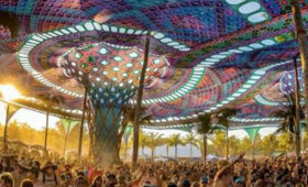 Universo Paralello divulga nova atrações e avisa que praia está sem óleo